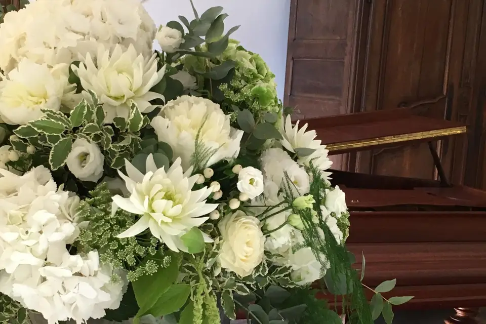 Art Végétal — photo 5