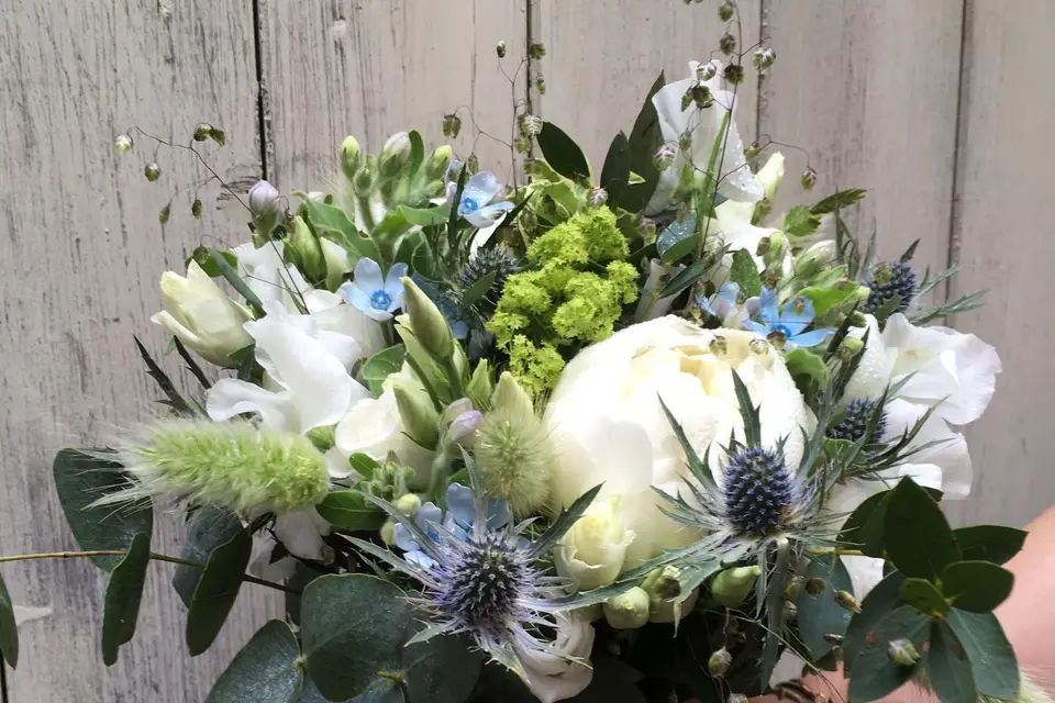 Art Végétal — photo 6