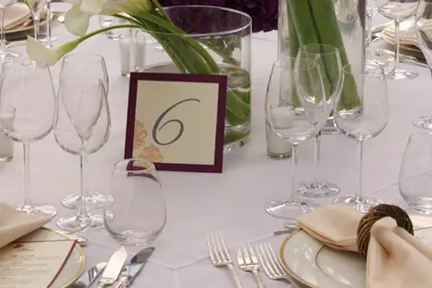 Art Végétal — photo 2