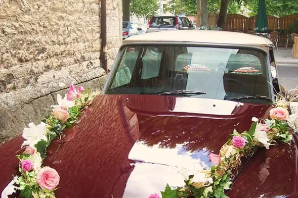 Art Végétal — photo 1