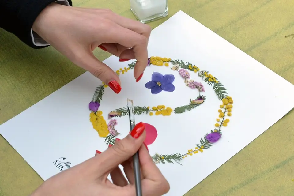 Madame Mimosa — photo 7