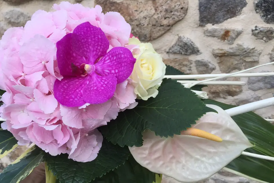 Un Brin Nature — photo 8