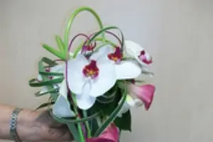 Un Brin Nature — photo 2