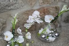 Un Brin Nature — photo 1