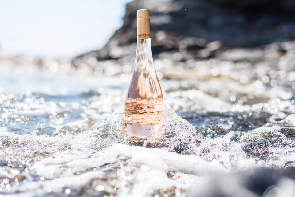 Sieur d'Arques — photo 6