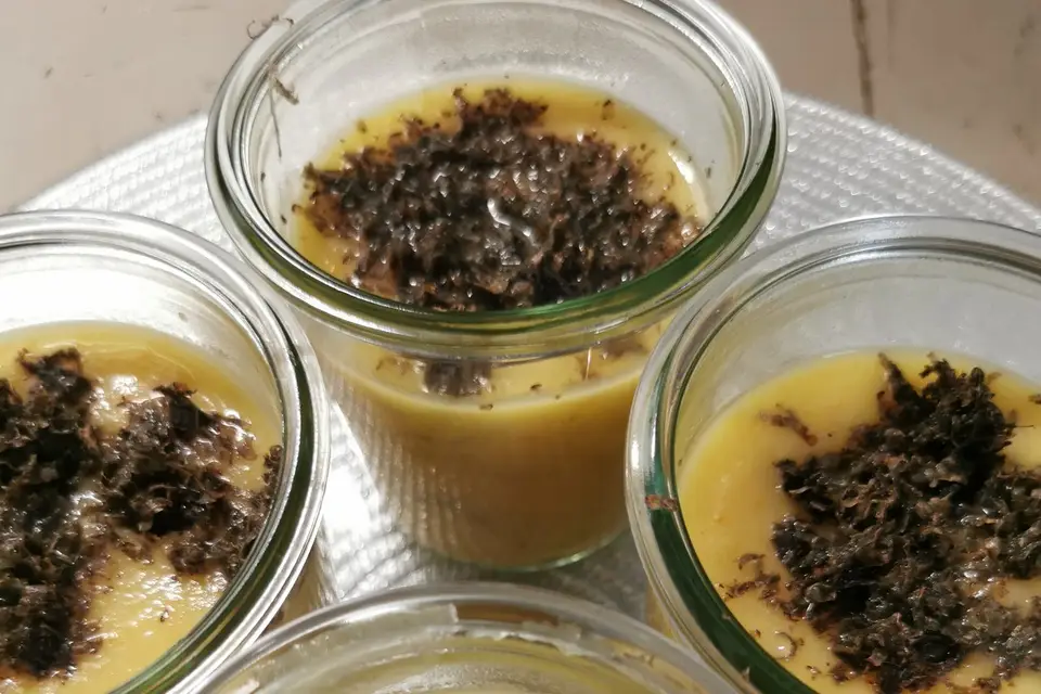 France Truffes — photo 8