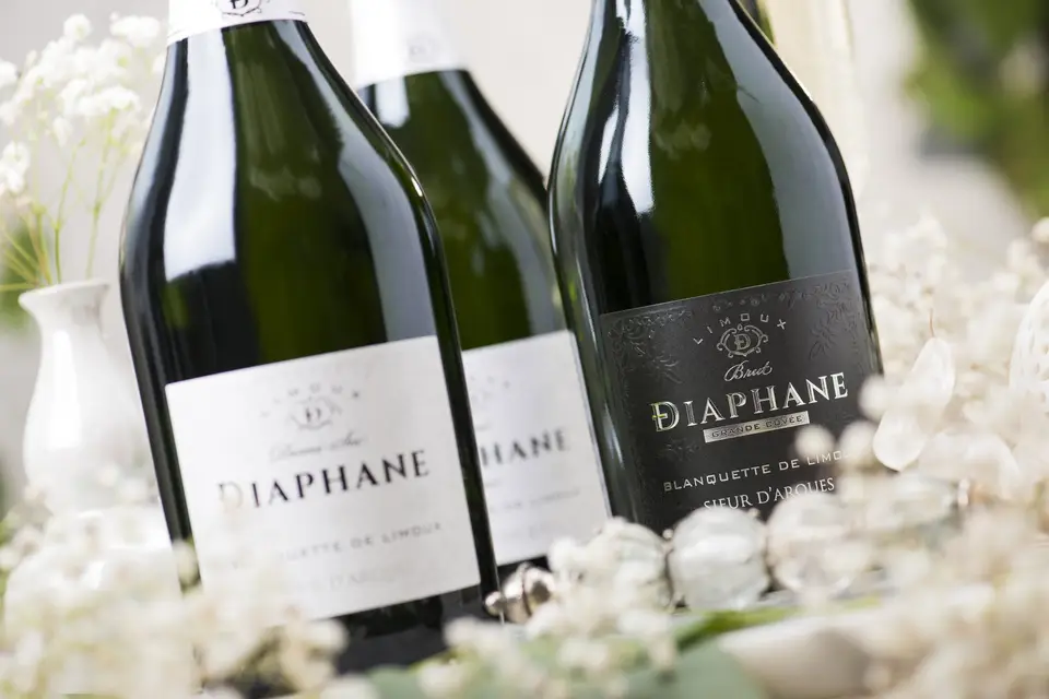 Sieur d'Arques — photo 1