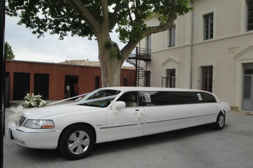Avignon Luxury Limousine — photo 5