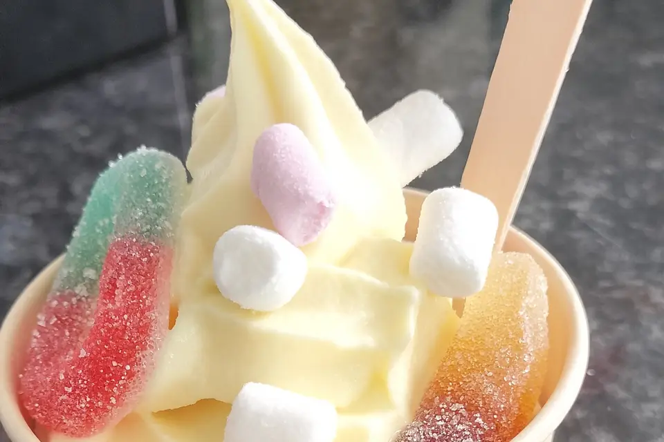 Donut's Family — photo 7