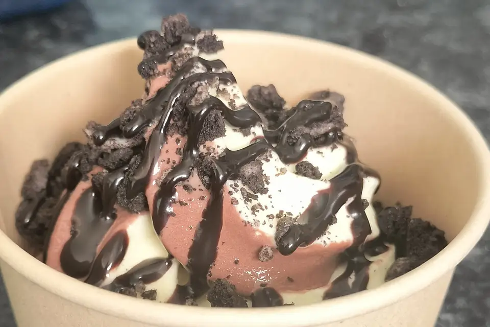 Donut's Family — photo 8