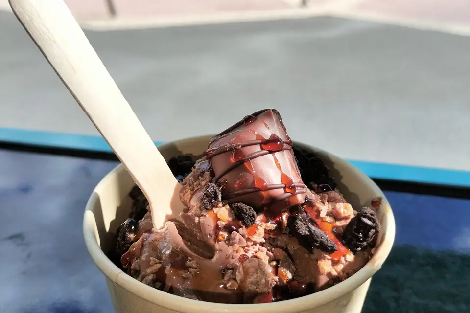 Donut's Family — photo 4