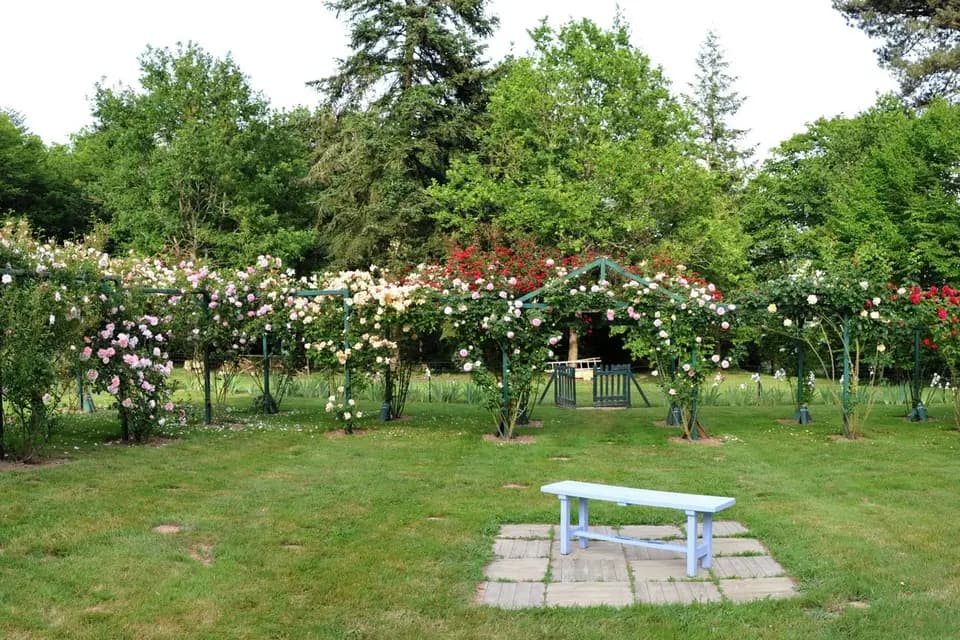 Chateau Saint-Andre — photo 8