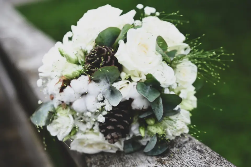 Angiies Photography — photo 4