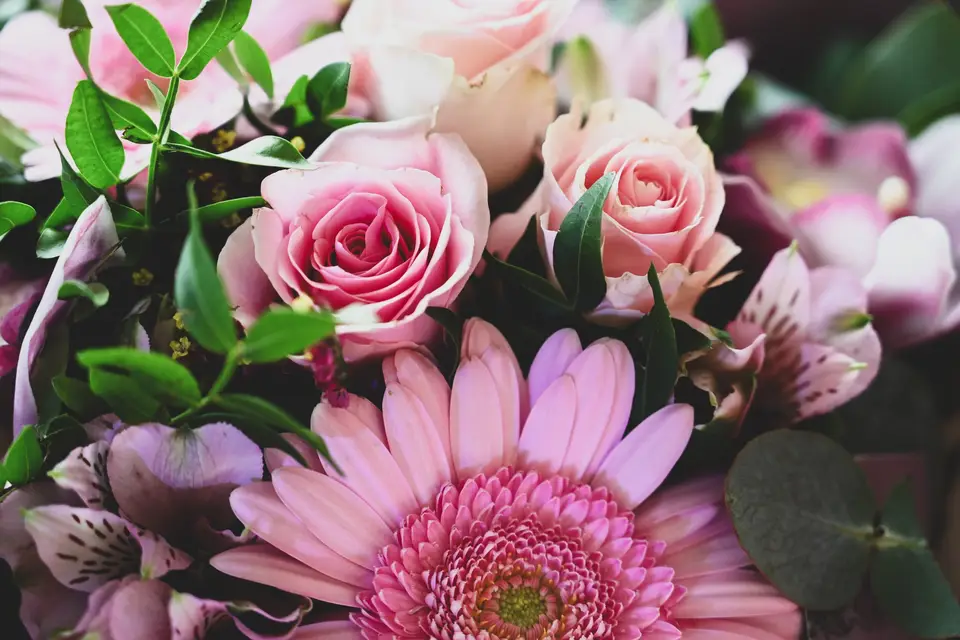 Angiies Photography — photo 7