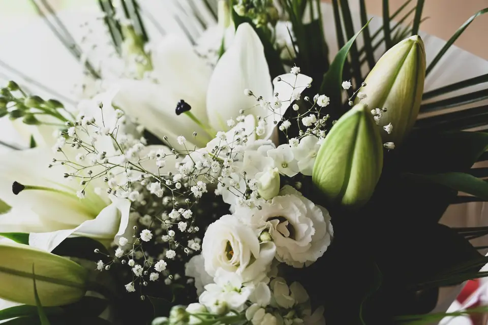 Angiies Photography — photo 6