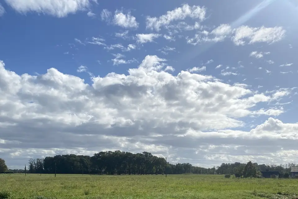 Maison Bordenave — photo 3