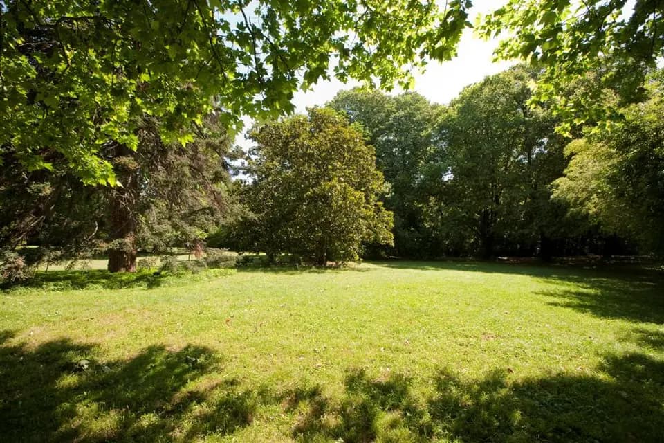 Château Raissac — photo 6