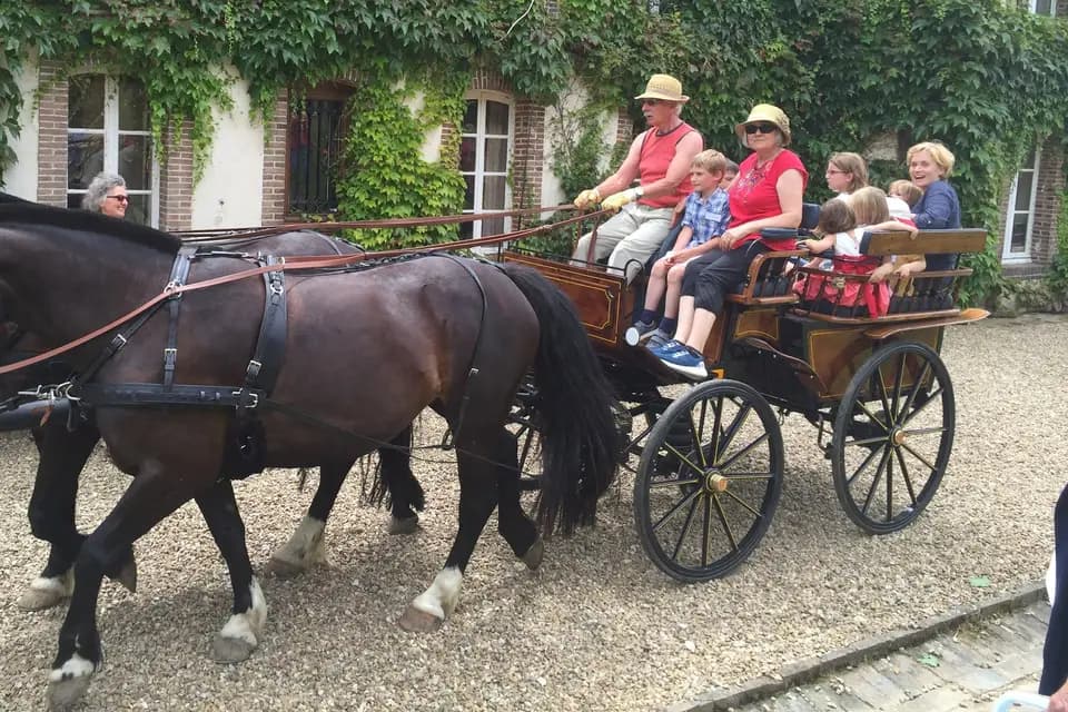 Château de Miserai — photo 5