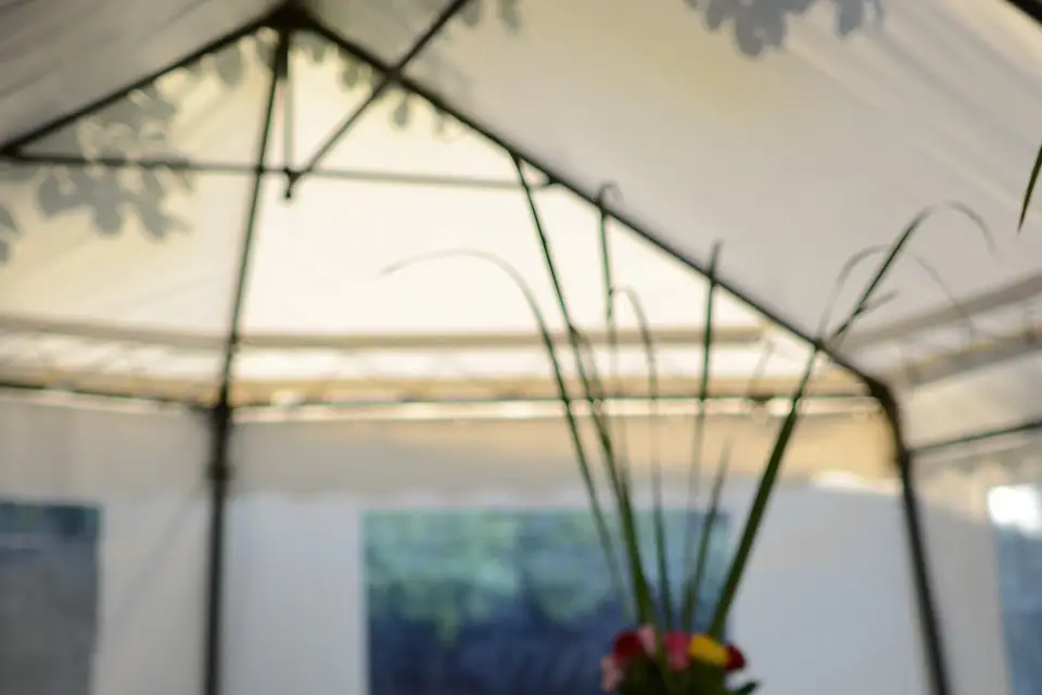 La Madinoise — photo 7