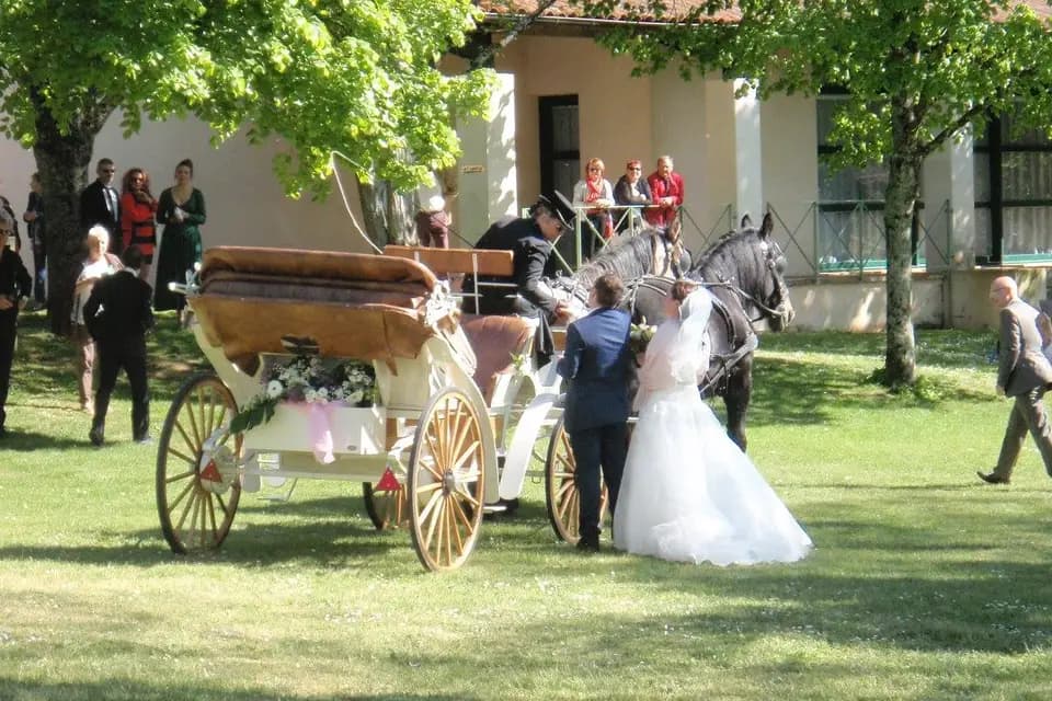 Les Calèches de la Rive — photo 4