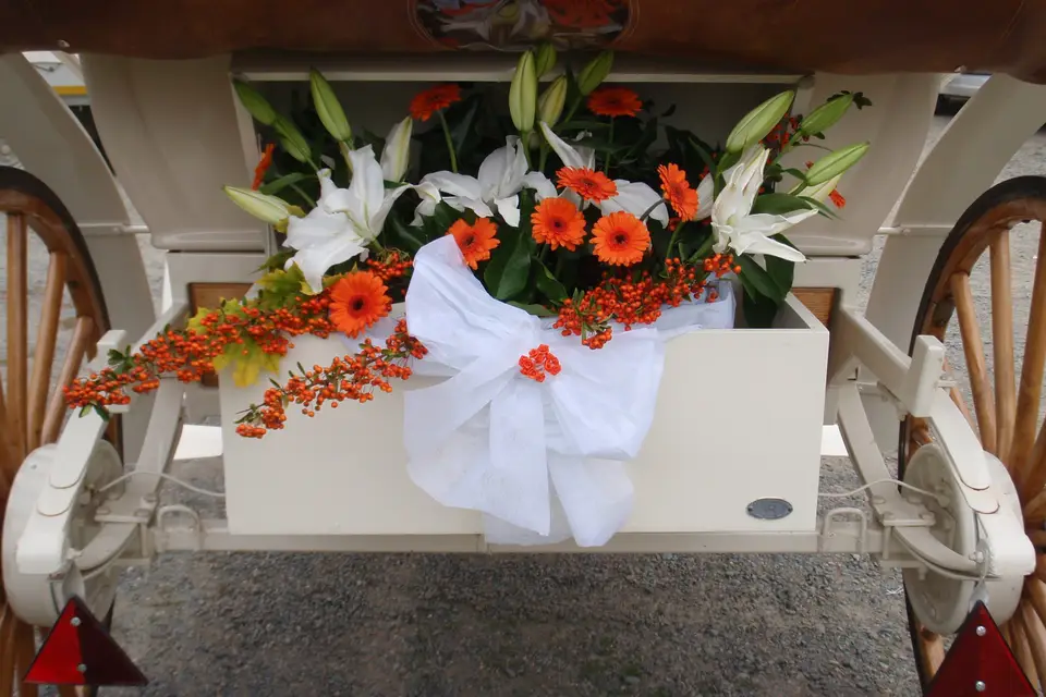 Les Calèches de la Rive — photo 2