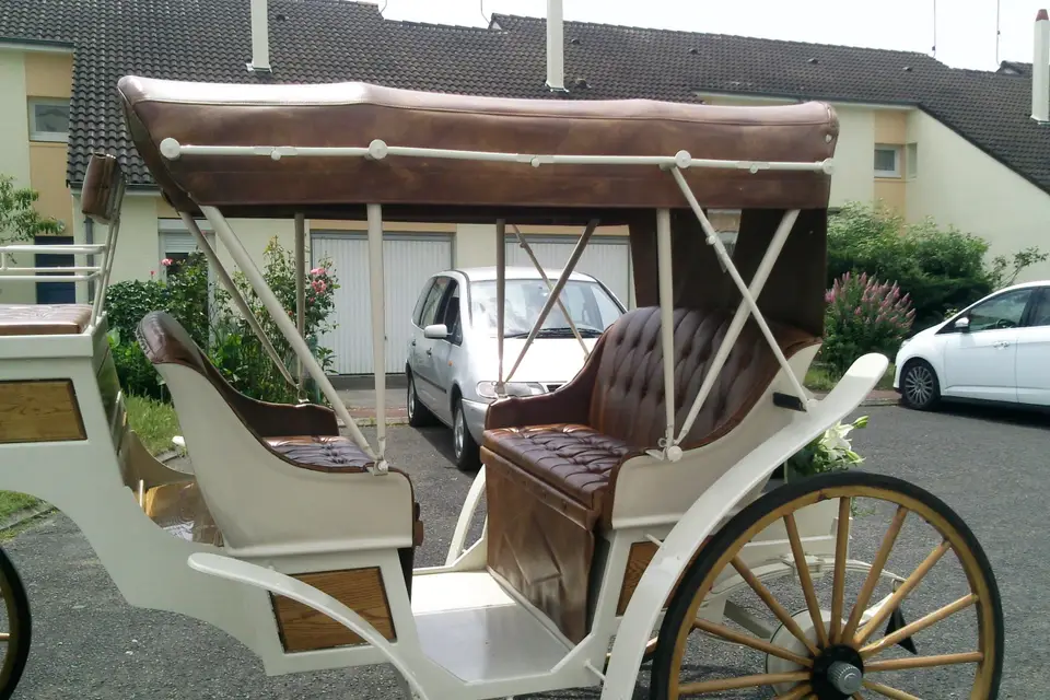 Les Calèches de la Rive — photo 6