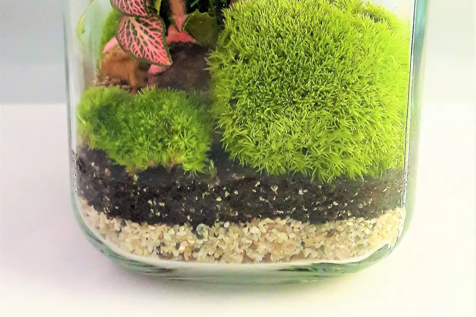 Les Jardins de Verre — photo 3