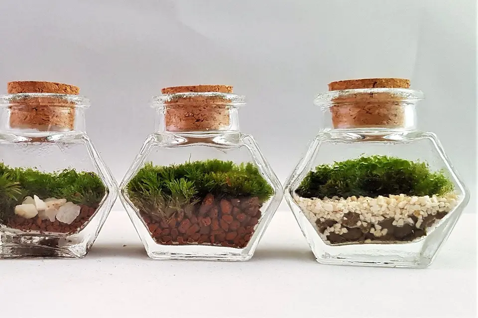 Les Jardins de Verre — photo 2