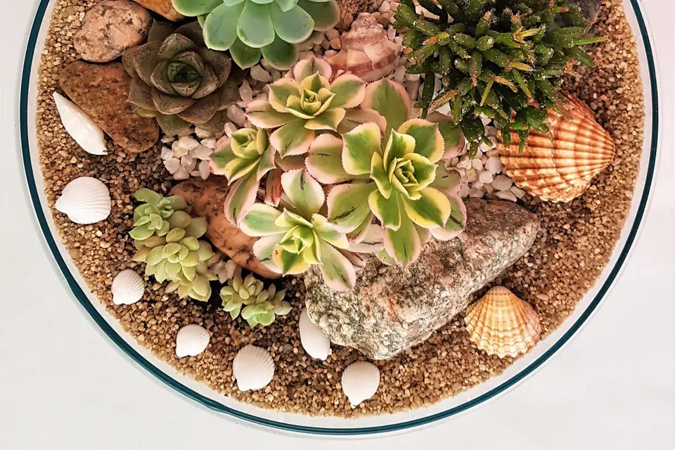 Les Jardins de Verre — photo 4