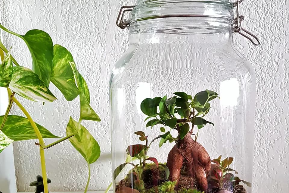 Les Jardins de Verre — photo 8