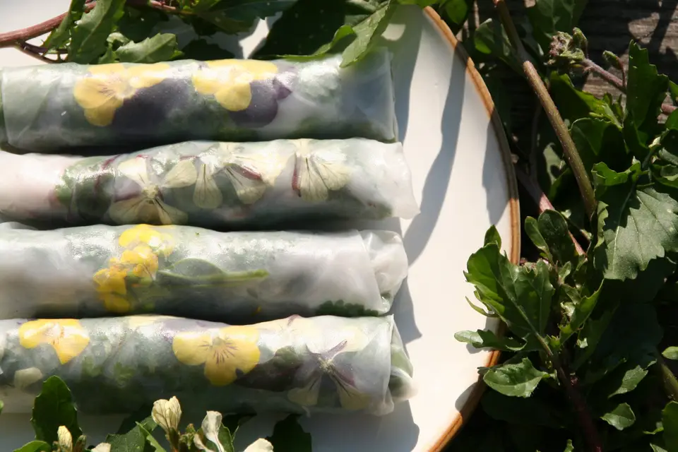 Paris Saturne — photo 2