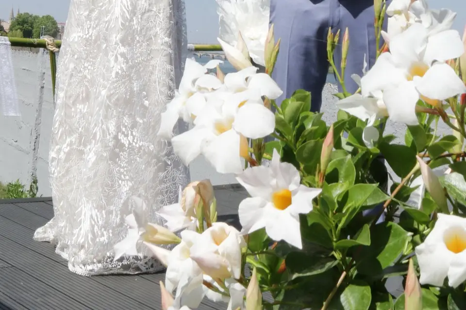 Digital Art Stasia — photo 3