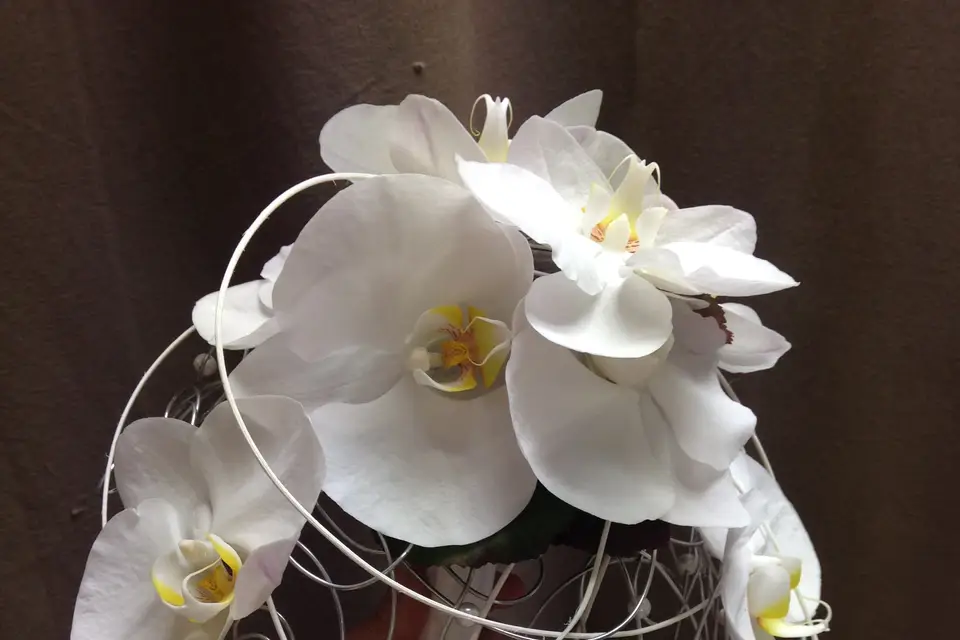 Le Jardin d'Eden — photo 4