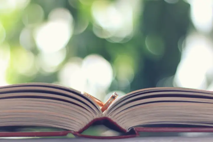 Heripage — photo 2