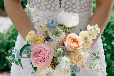 Allons voir si la rose — photo 2