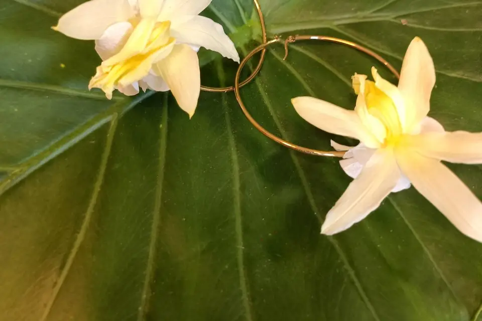 Stef-Aquatic — photo 3