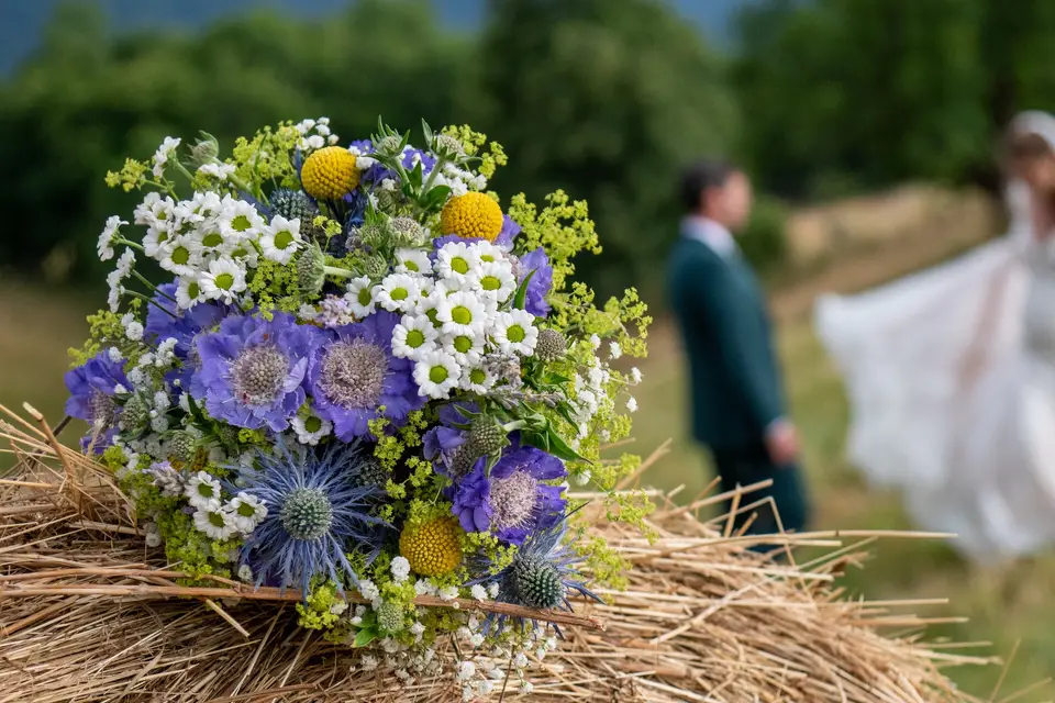 Julien Rendu — photo 4