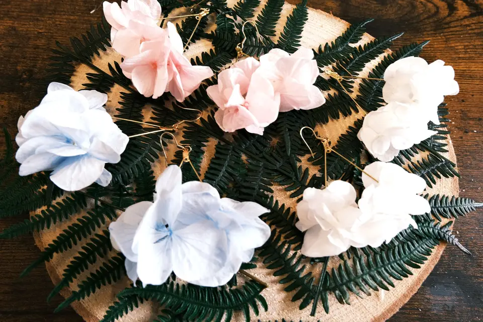 Stef-Aquatic — photo 5