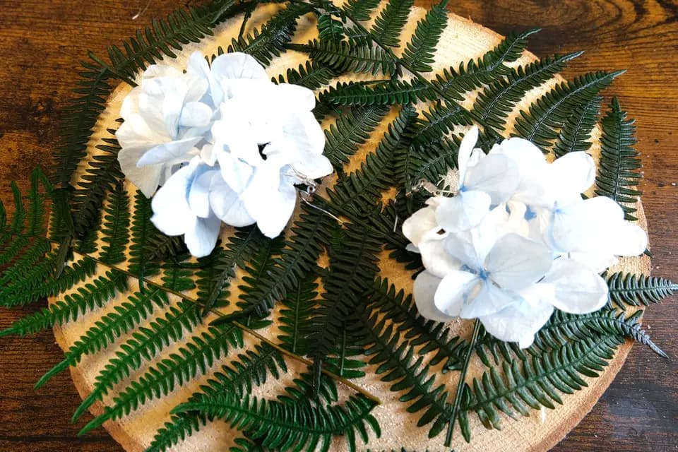 Stef-Aquatic — photo 6