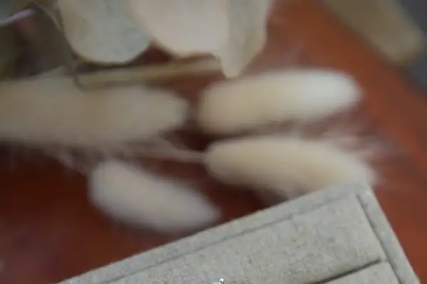 Chavany Bijoux — photo 5