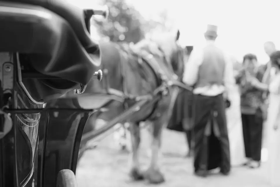 Attelage de la Gazelle — photo 5