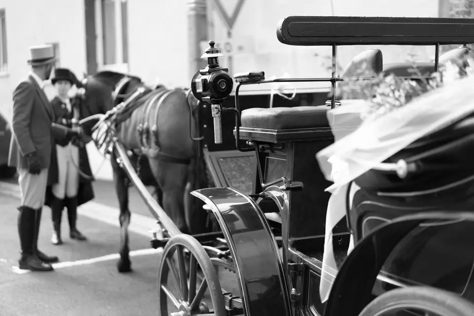 Attelage de la Gazelle — photo 1