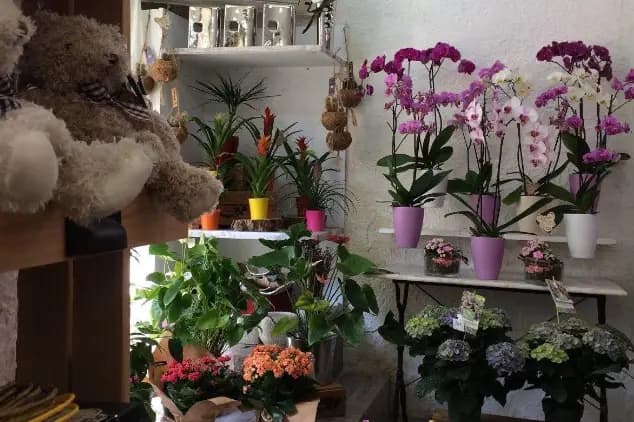 Azur Fleurs — photo 1