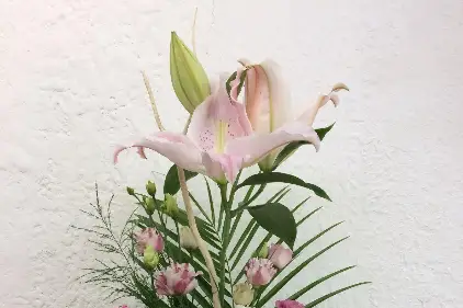 Azur Fleurs — photo 6