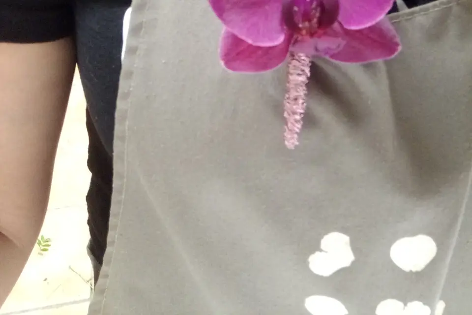 Couleur Cerise — photo 3