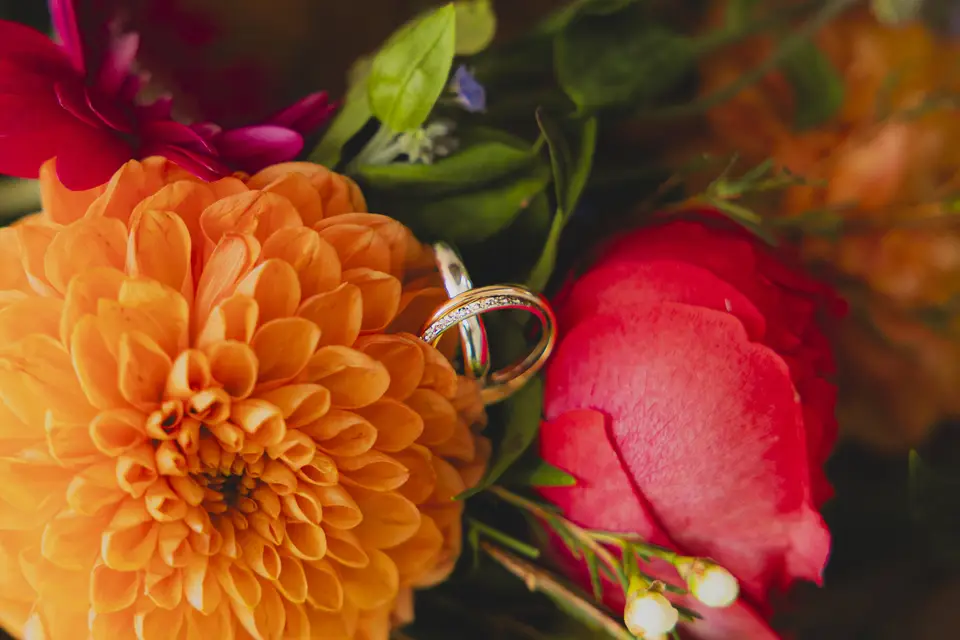 A fleur de Po — photo 3