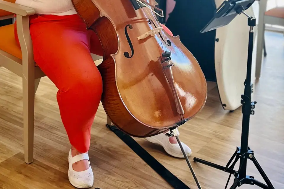Marion Nous Cello — photo 6