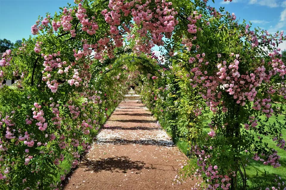 Château de Peufeilhoux — photo 9