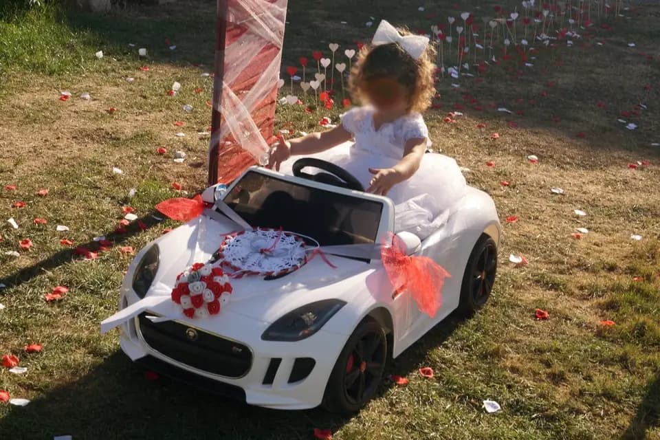 Your Special Day — photo 7