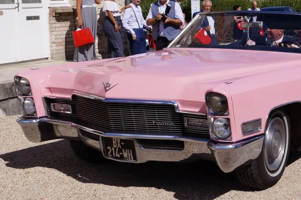 Your Special Day — photo 6